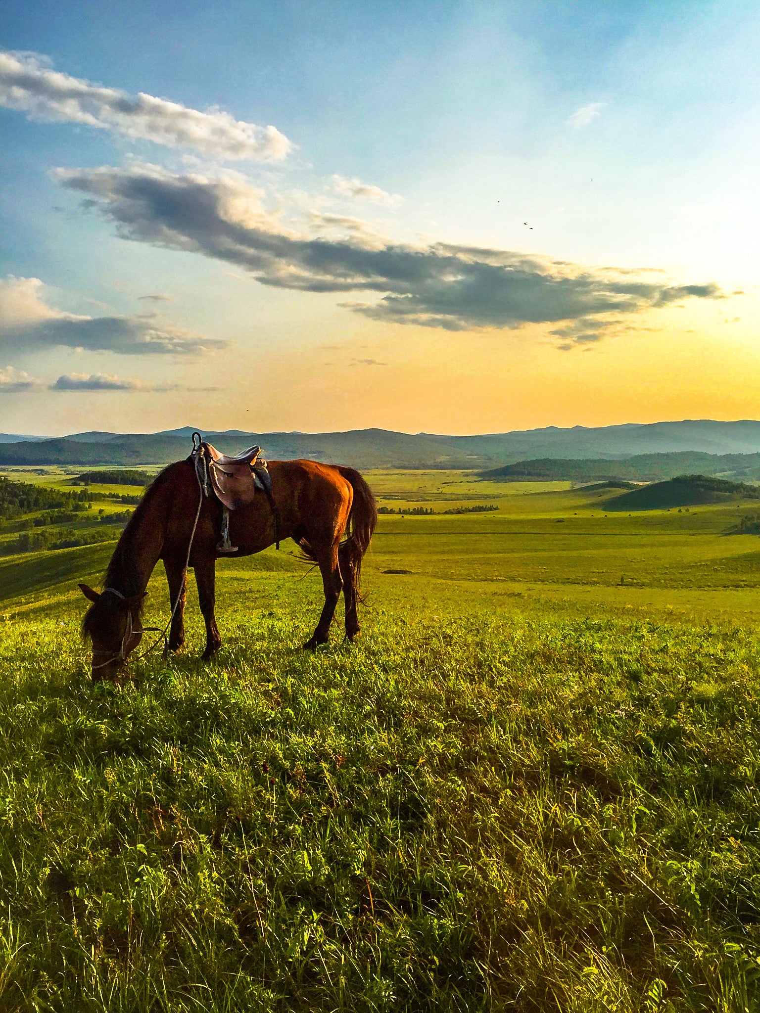 Traveling and Cycling Through Inner Mongolia